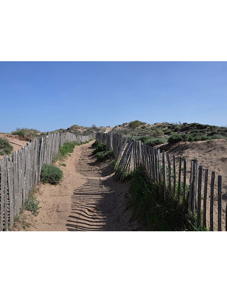 CAMPING L'ETOILE DE MER *** Sérignan Plage (APV)