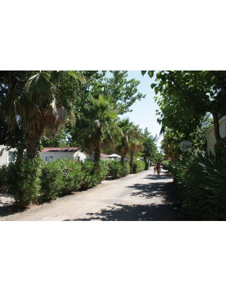 Camping Les Salisses**** - Vias/Hérault (34)