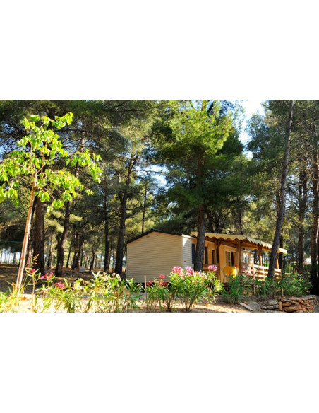 Camping Les Dauphins*** - Saint-Cyr-sur-Mer/Var (83)