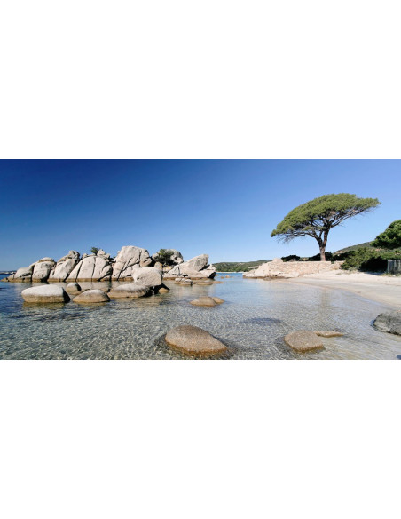 CampingPitrera Village*** - Porto Vecchio/Corse-du-sud (20)