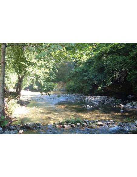 Camping vallon Rouge