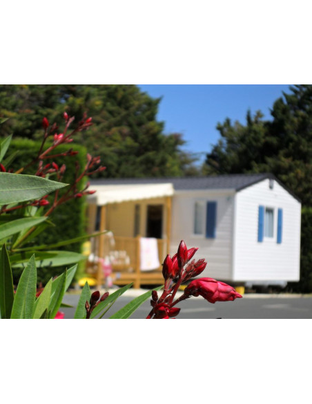 CAMPING AU VAL DE LOIRE EN RE**** île de Ré (APV)