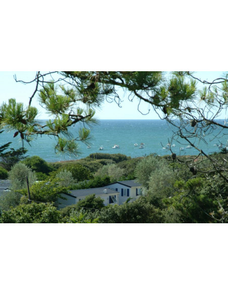 CAMPING L'ANSE DES PINS**** Ile d'Oléron (APV)