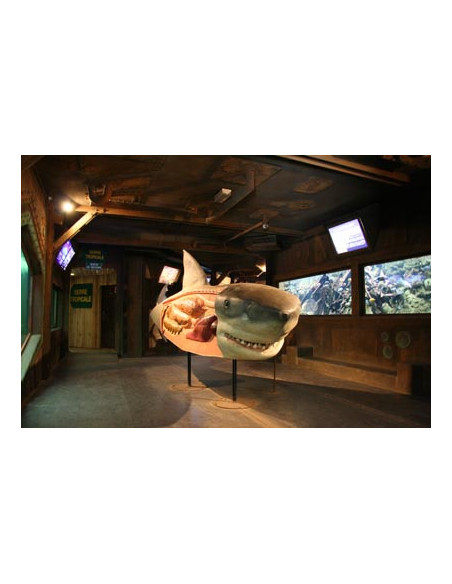 Aquarium d'Amnéville