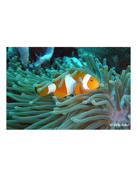 Aquarium d'Amnéville