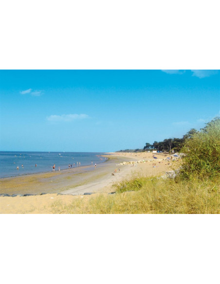 ANTIOCHE D'OLERON * * * LA BREE LES BAINS