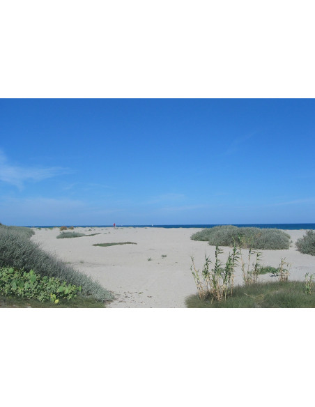 Camping Le Sainte Marie  ???? Sainte Marie la Mer (APV)