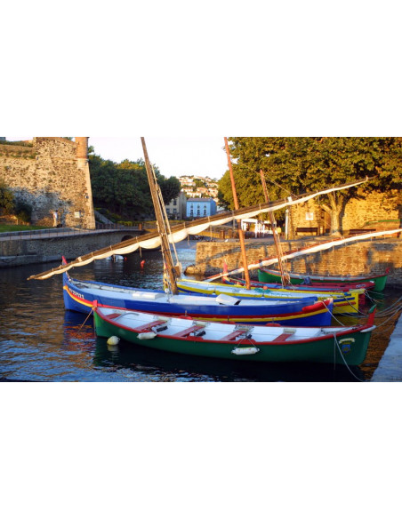 Camping MARSOUINS * * * * ARGELES SUR MER (66)