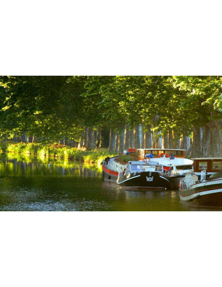 Camping MAS DES LAVANDES * * * * SÉRIGNAN (34)