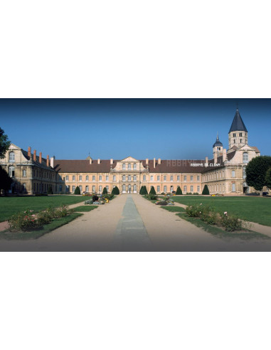 Abbaye de Cluny (71) Cluny