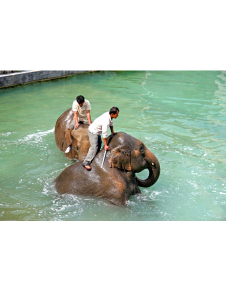Pairi Daiza - Brugelette (Belgique)