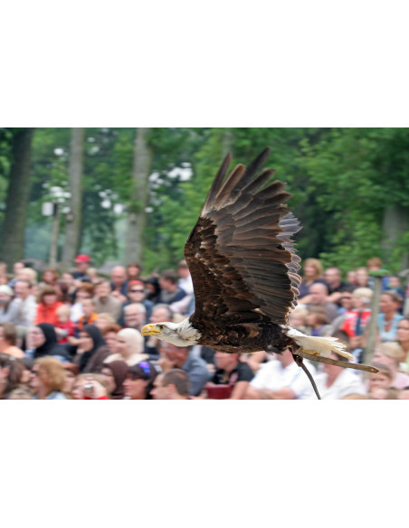 Pairi Daiza - Brugelette (Belgique)