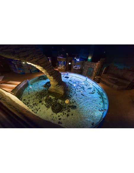 Aquarium Sea Life - Val d'europe - (77) SERRIS