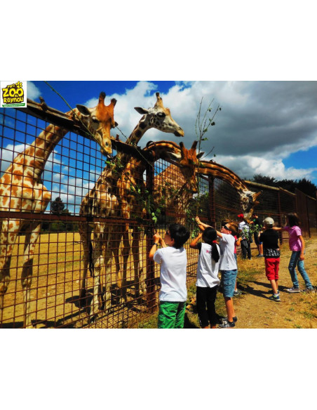 Parc Zoo du Reynou - Le Vigen (87) Nouvelle Aquitaine