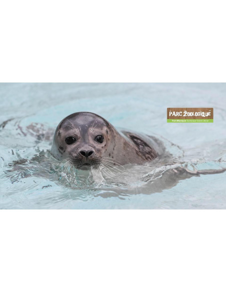 Zoo de Dunkerque - Grand littoral